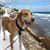 Rick Melase's profile image