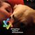 Rossella Blatt Vital's profile image