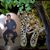 Micky Riano's profile image