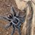 Eric Weimer's profile image