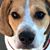 Sarah Tooley Jones's profile image