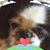 Allen Williams's profile image