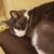 Kathy McManus's profile image