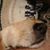 Jane Winkler's profile image