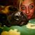 Morgan Nadine Robinson's profile image
