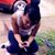 Shanice Bishop's profile image