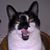 texasmuldoon's profile image