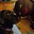 Pam M Maynard's profile image
