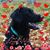 Judy Gardner's profile image