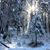 Kristin Ann Peterson-Farmer's profile image