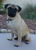 Mack R.'s profile image