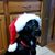 Brenda Schillaci's profile image