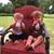 Donald N Tonya Beasley's profile image