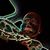 Nic Castrucci's profile image