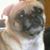 Mercedes Garcia's profile image
