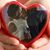 Joanna Boyd's profile image