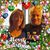 Donna Bergeron's profile image