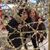 Lucia Agresta's profile image