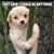 David Worthington's profile image