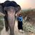 Patrice Sutton Leslie's profile image