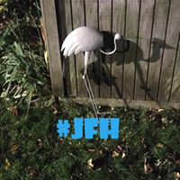 Bo Neato's profile image