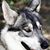 Greg Pagonis's profile image