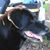 Cynthia Conley-Doumont's profile image
