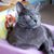 Tammy DeLorenzo's profile image