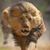 Mohammed Khalid's profile image