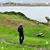 Colleen Miner Coesens's profile image
