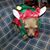 Dawn Williams Houck's profile image