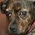 Christine Bowness Albano's profile image