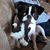 Tonya Jade Wagner's profile image
