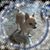 Rhonda Wampler's profile image