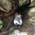 Melchor Maalat's profile image
