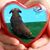 Jaye Ellen Wilson-Sykora's profile image
