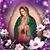 Georgina Mejia's profile image