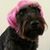 Deb Clark's profile image