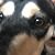Jennifer Barile's profile image
