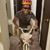 Henry H Chen's profile image