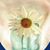 Doreen Matheney's profile image