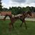 Vikki Lynn Broaddus's profile image
