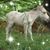 Sandi Heiss's profile image