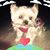 Rowena Asprer's profile image