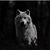 Howard Richard Shirley's profile image