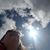 Carolyn Hagopian Hearn's profile image