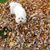 Vicki Spurr's profile image