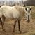 Kim Chaffee's profile image