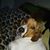 Debbie Riddle Cox's profile image