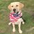 Greenwood Captain's profile image
